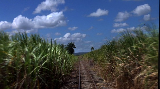 "Acercadacana" é um dos filmes da mostra (Foto: Coletivo Asterisco/Divulgação)