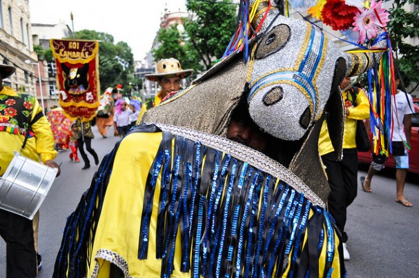 Dia-da-Cultura-dos-Bois-Foto-Lais-Domingues-10