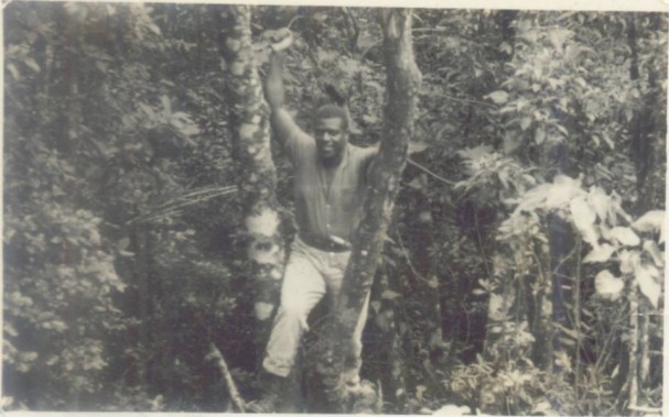acervo