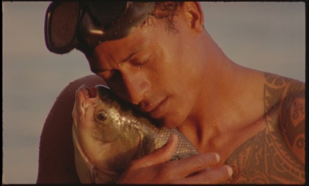Still/O Peixe