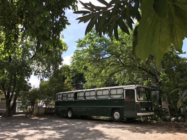 Divulgação