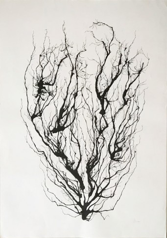 Divulgação/Bruno Alheiros