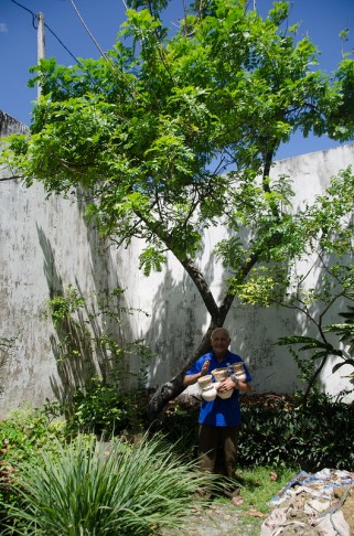 Os chamados Buns de Pele podem variar de tamanho e afinação e  são instrumentos da coleção da Terra