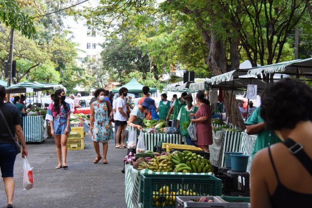 a capital pernambucana possui 43 feiras orgânicas em atividade