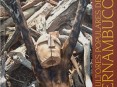 livro_nova_faseda_lua
