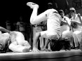 Centro de Capoeira São Salomão/divulgação