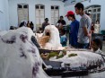 Foto: Jan Ribeiro/ Secult PE - Fundarpe