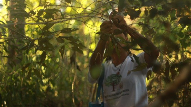 Ewa Amor/Divulgação