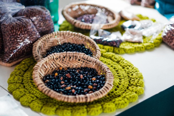 A vivência de estreia foi a “Semente Crioula: Plantando História, Alimentando o Futuro”, ação que articulou temas como agroecologia, alimentação saudável, história dos grãos e oralidade ancestral