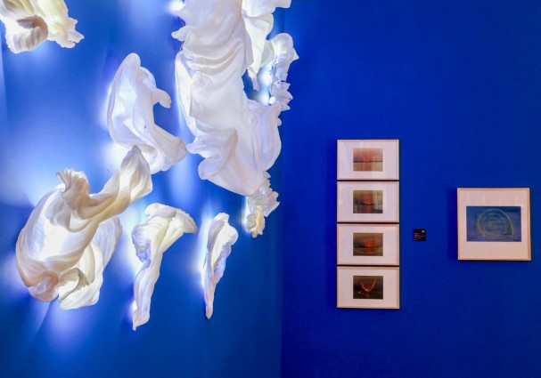 Série Branqueamento dos Corais, 2022, esculturas de polipropileno reciclado e retroiluminado com led